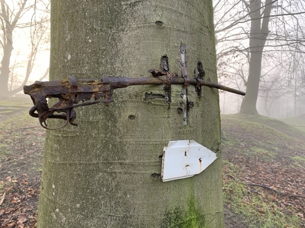 Flanders Fields battlefield photograph
