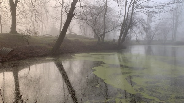 Ploegsteert Wood, the Christmas Truce site