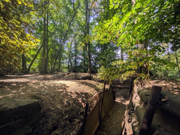 A preserved trench in the woods of the Ypres Salient