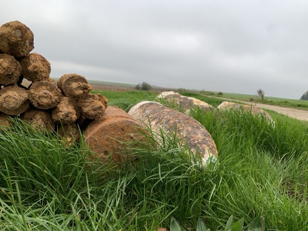 The Somme battlefield photograph