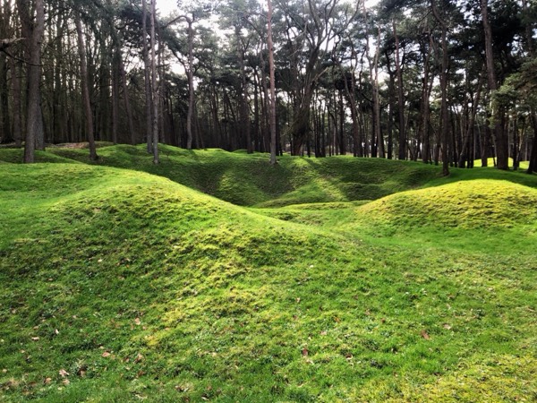 Preserved trenches at Vimy Ridge